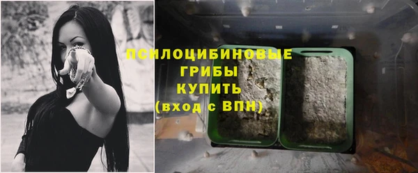jwh Аркадак